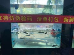 -全乐鱼馆·淳牌有机鱼直营店