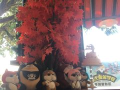 -柴犬高等学院·狗咖·柴犬售卖·宠物训练