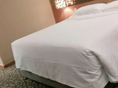 -北京丽亭华苑酒店