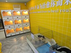 -神奇动物撸宠馆·羊驼·小浣熊·异宠(豫园店)