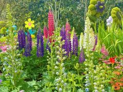 -上海共青森林公园