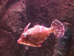 -沈阳海洋探索中心