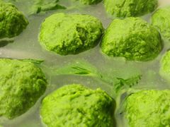 翡翠圆子汤-柏合黄记豆腐皮饭店