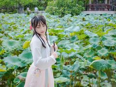-惠州西湖丰渚园