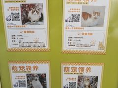 -瑞虹新天地月亮湾