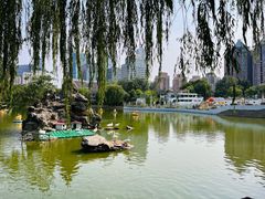 -团结湖公园