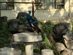 -舜耕山庄四时万和自助餐厅