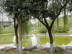-鹦鹉寺公园