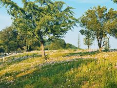 -南北湖风景区
