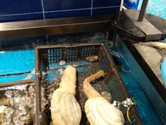 -大润发(康桥店)