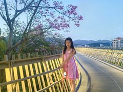 -福道
