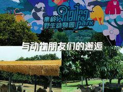 -西安秦岭野生动物园