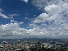-长虫山生态公园风景林