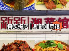 -新新湘菜馆(新中街二条店)