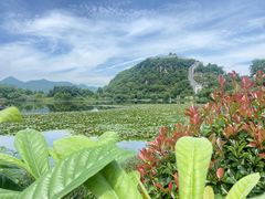 -青岩古镇