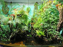 -太平洋海底世界