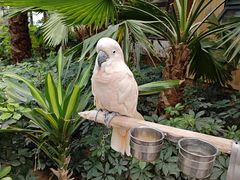 -南宫五洲植物乐园