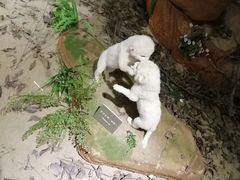 -陕西自然博物馆