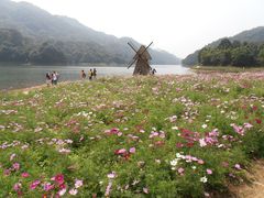 -广州市石门国家森林公园