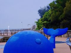 -东澳岛