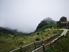 -白草畔自然风景区