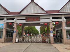 -上海都市菜园