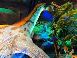 -恐龙探索乐园(磁器口店)