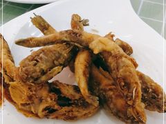 -四海蒸鲜蒸汽海鲜自助(北戴河店)
