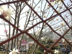 -普兰达德国餐厅·德式脆皮烤猪肘·自酿啤酒(观唐店)