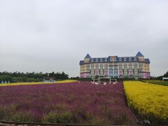 -百万葵园