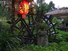 -青城甲(青城山店)