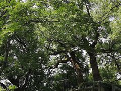-城隍阁