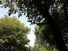-火炉山森林公园