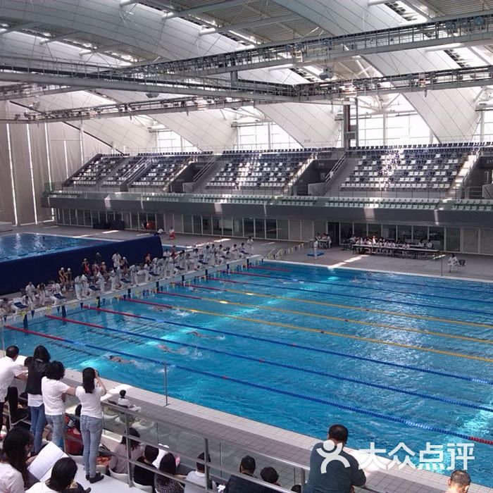 东方体育中心游泳馆图片