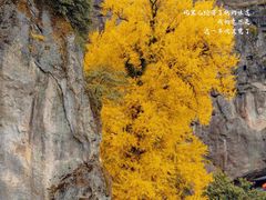 -大慈岩风景区