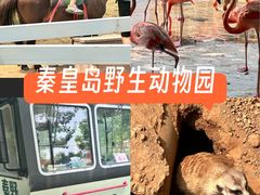 -秦皇岛野生动物园