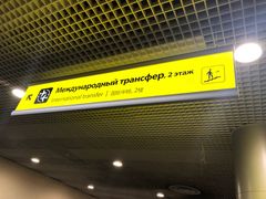 -谢列梅捷沃国际机场