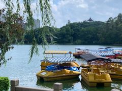 -西湖公园(鼓楼区)