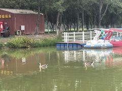 -西安浐灞国家湿地公园