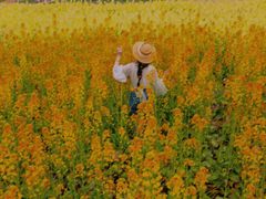 -三圣花乡旅游区