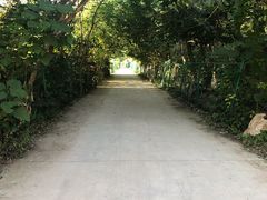 -亲兄弟真人CS团建拓展基地