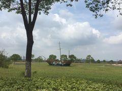 -上海都市菜园