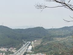 -天鹿湖森林公园