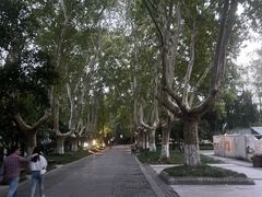 -明故宫遗址公园