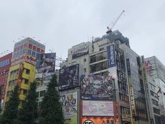 -秋叶原电器街