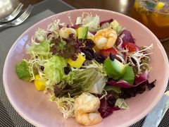 有机蔬菜沙拉-安蒂娅·海鲜自助餐厅(安蒂娅美兰酒店)