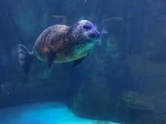 -波塞冬旅游度假区