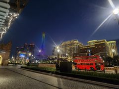 -澳门威尼斯人综合度假区