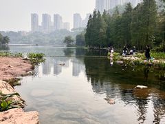 -重庆彩云湖湿地公园