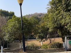 -白马涧龙池景区